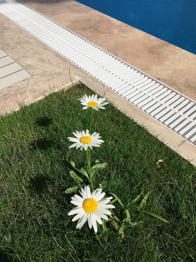 Casa Pallet Hotel Dalyan Exterior foto